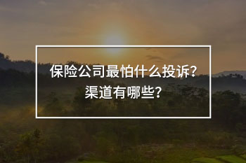 保險公司最怕什么投訴