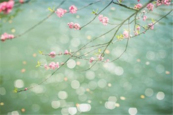 如何查詢(xún)養(yǎng)老保險(xiǎn)個(gè)人賬戶(hù)信息