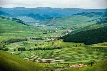 中國人壽住院費用補償醫(yī)療保險