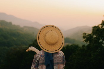 平安e生保長期醫(yī)療險優(yōu)缺點(diǎn)