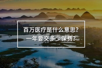 百萬(wàn)醫(yī)療是什么意思