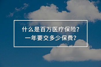 什么是百萬(wàn)醫(yī)療保險(xiǎn)