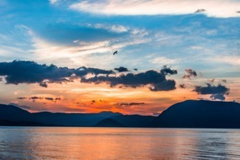 泰康醫(yī)佳保百萬醫(yī)療條款有哪些內容？有什么優(yōu)點？