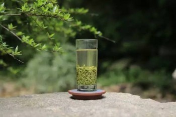 4萬保險退保能退多少？退保流程是怎樣的？?
