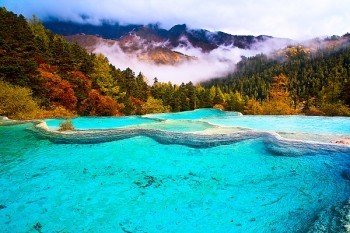 個(gè)人退保情況說(shuō)明怎么寫(xiě)？退保有什么影響？