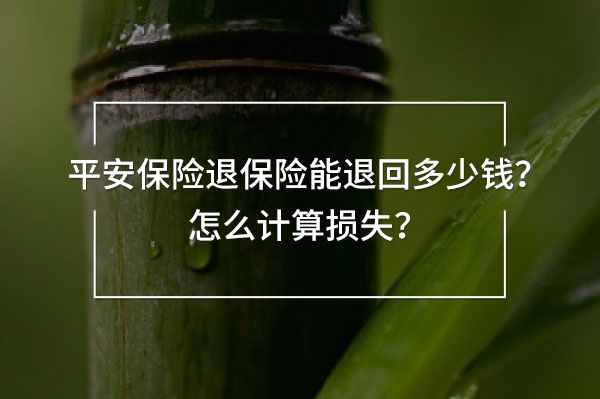 平安保險退保險能退回多少錢，怎么計算