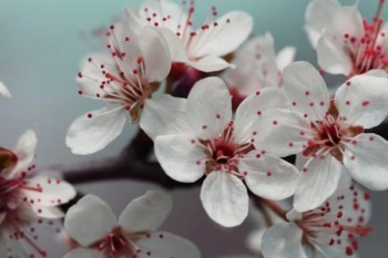 中國人保的百萬醫(yī)療怎么樣