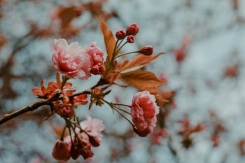 e家平安百萬(wàn)醫(yī)療險(xiǎn)