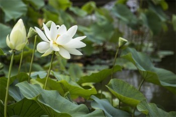 百萬醫(yī)療保費是不是每年都漲