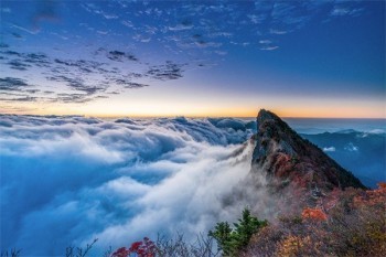 重大疾病30年后保費還退嗎