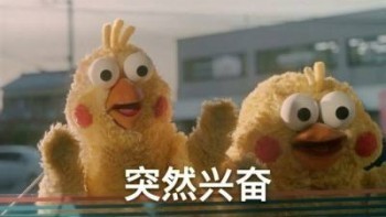 保險不續(xù)保能退多少錢
