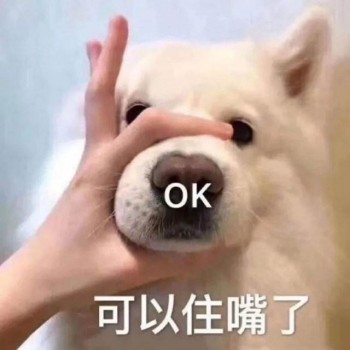 保險不續(xù)保能退多少錢