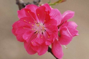 小兒買百萬(wàn)醫(yī)療險(xiǎn)哪個(gè)比較好