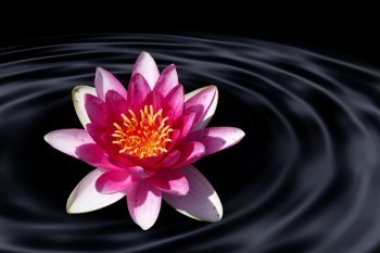 31歲買(mǎi)養(yǎng)老保險(xiǎn)劃算嗎