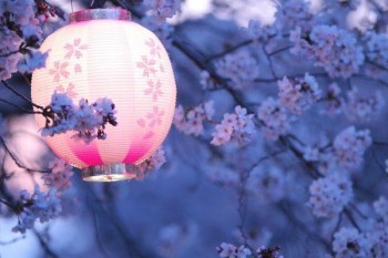 百萬醫(yī)療有用嗎