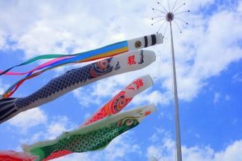 保險(xiǎn)能退保么