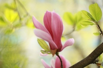 二十年百萬醫(yī)療險哪一款最好