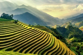 代繳社保的機(jī)構(gòu)