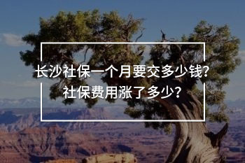 長沙社保一個月要交多少錢