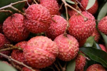 京惠保百萬醫(yī)療險(xiǎn)保障范圍