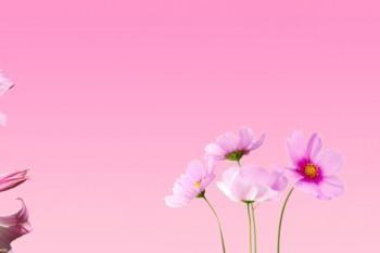 如何續(xù)保平安百萬醫(yī)療保險(xiǎn)
