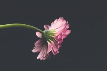 退保需要手續(xù)費嗎