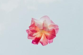 太平歲月添富交滿后退保