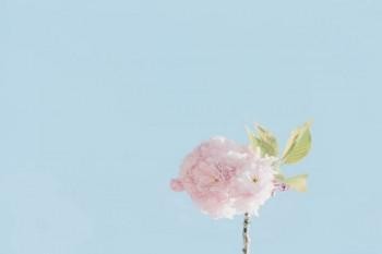 蘇州社保查詢個人賬戶繳費(fèi)明細(xì)查詢