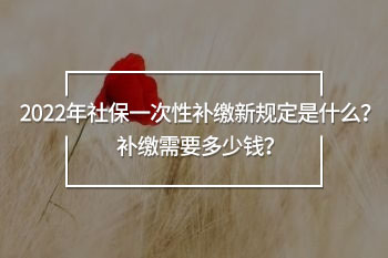 2022年社保一次性補繳新規(guī)定