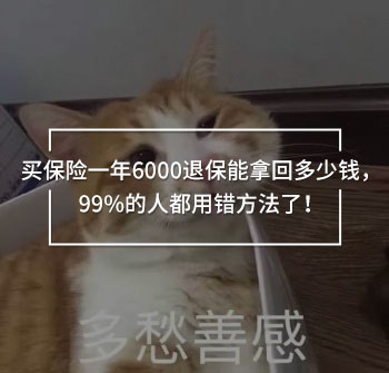 買保險(xiǎn)一年6000退保能拿回多少錢