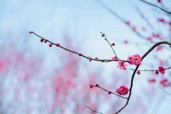 太平洋安享百萬醫(yī)療保險(xiǎn)一年交多少錢