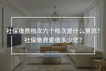 社保繳費(fèi)檔次六個(gè)檔次