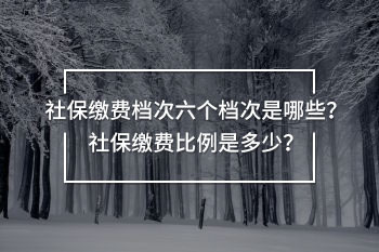 社保繳費檔次六個檔次