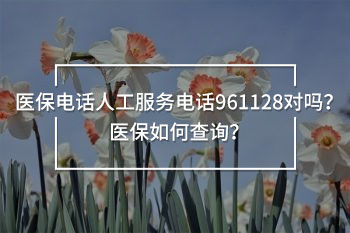 醫(yī)保電話人工服務(wù)電話961128