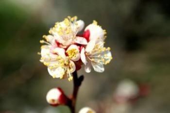 退保了之后還讓買(mǎi)保險(xiǎn)嗎