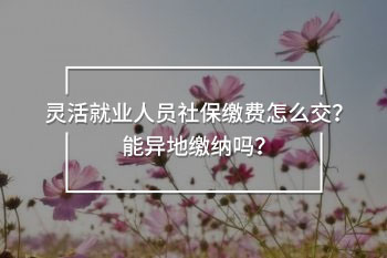 靈活就業(yè)人員社保繳費怎么交