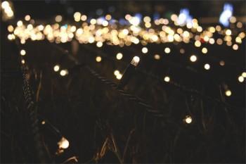 交一年保險(xiǎn)能退多少錢