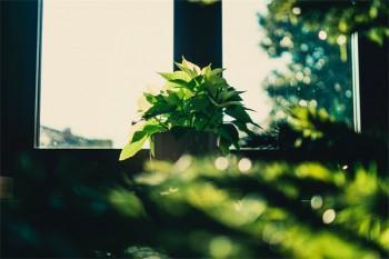 社保斷交怎么補(bǔ)繳啊2022