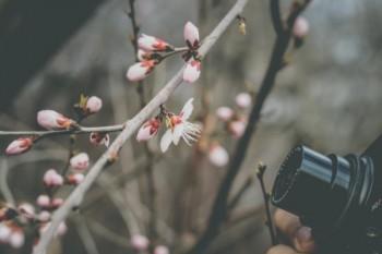 少兒保險(xiǎn)應(yīng)該怎么買(mǎi)