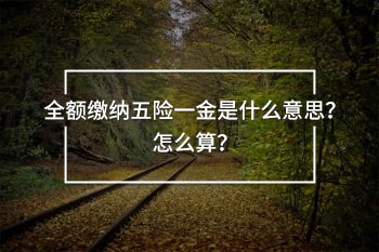 全額繳納五險(xiǎn)一金是什么意思