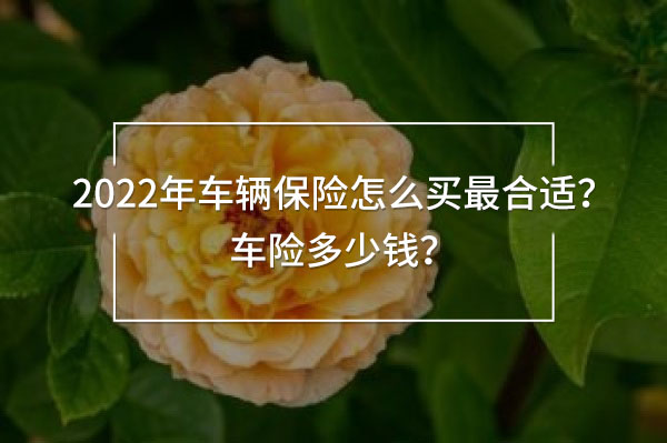 2022年車輛保險怎么買最合適