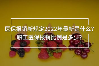 醫(yī)保報(bào)銷新規(guī)定2022年最新