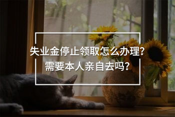 失業(yè)金停止領(lǐng)取怎么辦理