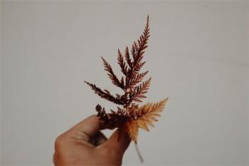 人壽退保險(xiǎn)扣多少