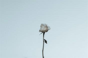 買(mǎi)重疾有沒(méi)有必要