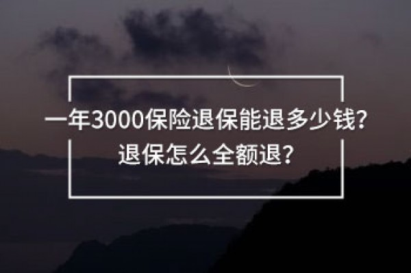 一年3000保險退保能退多少錢