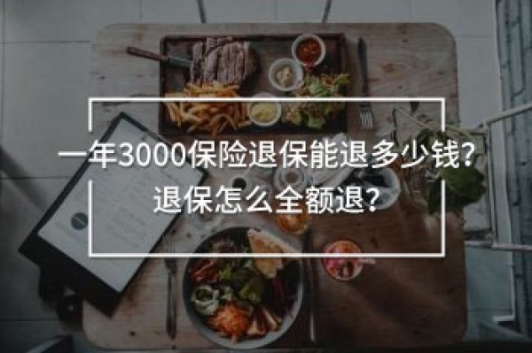 一年3000保險退保能退多少錢