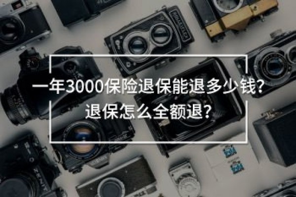 一年3000保險退保能退多少錢