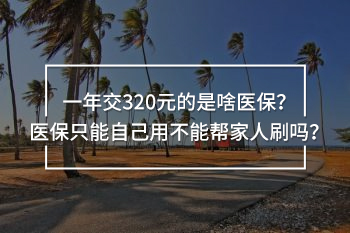 一年交320元的是啥醫(yī)保