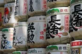 養(yǎng)老保險一次性繳納